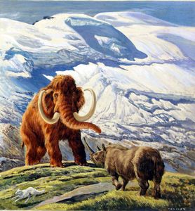 Eric Tansley artist biography