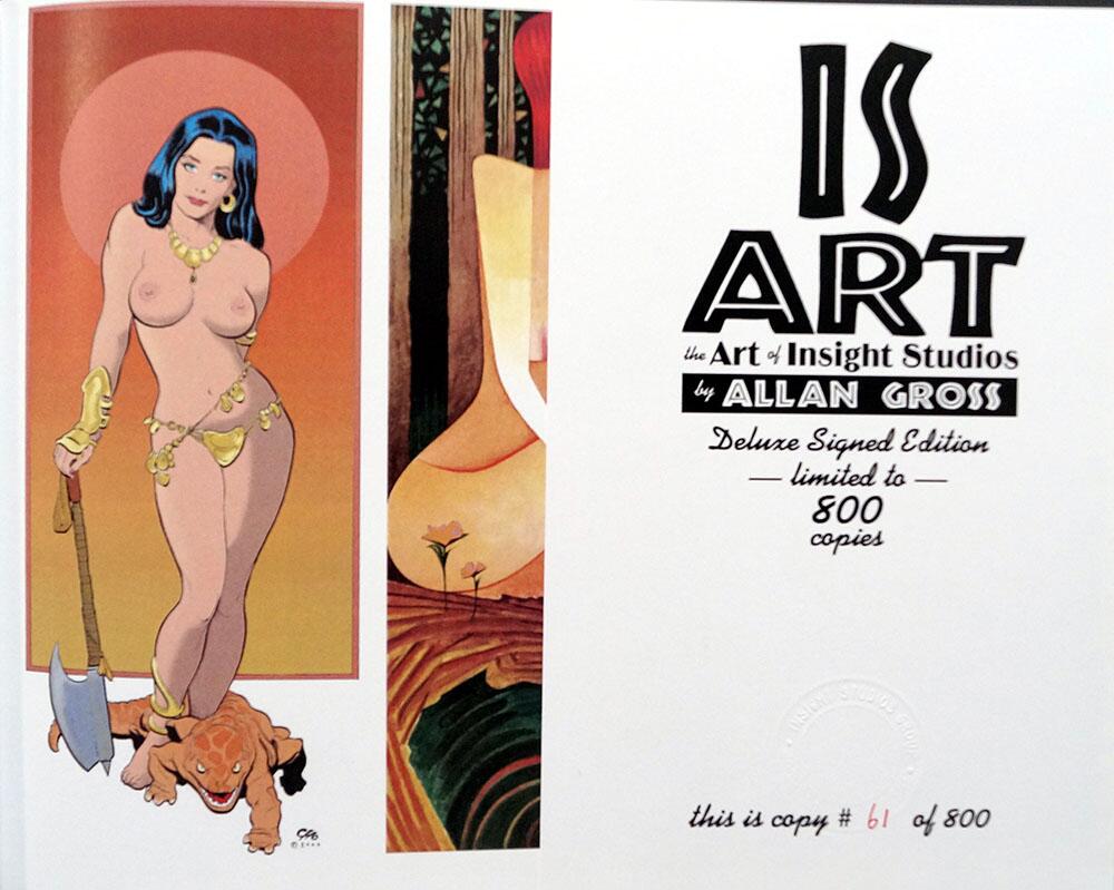 The Art Of Insight Studios by Allan Gross