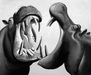 Hippo Fight art by John Keay