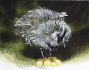 Ostrich art by William Francis Phillipps