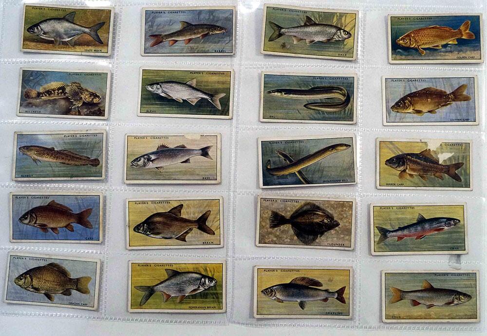 Fresh Water Fishes: Full Set of 50 Cigarette Cards (1934)