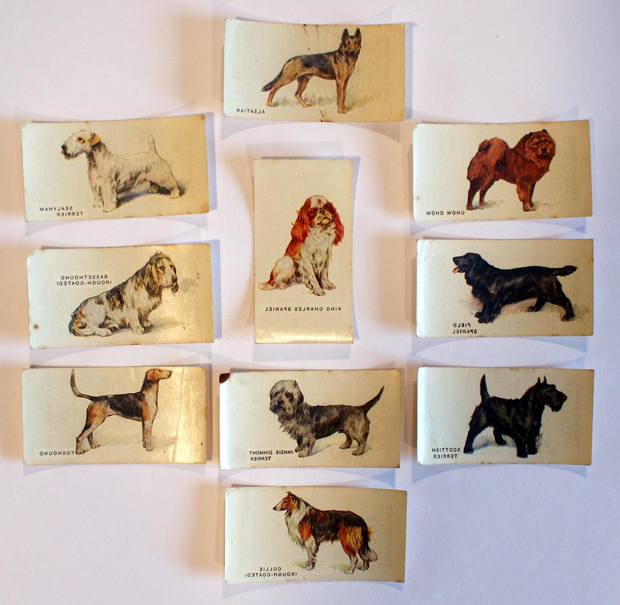 Cigarette Cards: Dogs (Transfers) (10 cards)