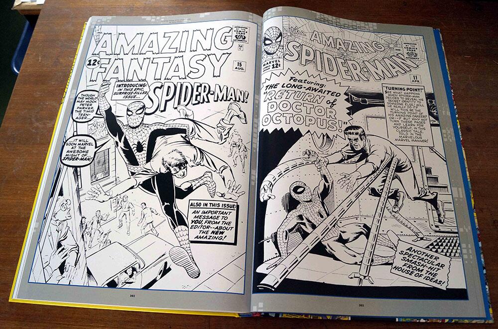 Ditko is Amazing by Various