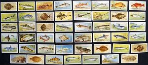 Set of 46 'Sea Fishes' John Player & Sons Cigarette Cards (1935)