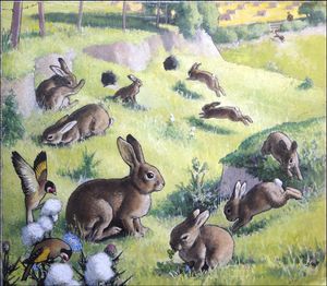 Bouncing Bunnies art by G W Backhouse