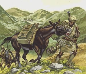 The Khyber Pass art by Ron Embleton