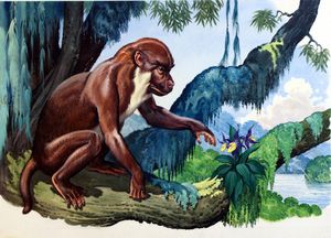 Aegyptopithecus art by Bernard Long