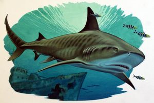 Tiger Shark and Pilot Fish with Naval Wreck art by Bernard Long