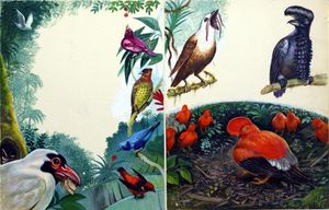 Tropical Birds from South America art by L Field Marchant