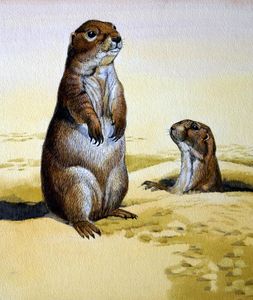 Prairie Dog art by Kenneth Lilly