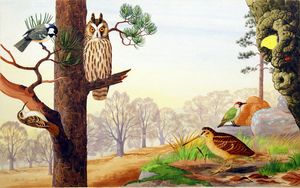 The Woods in Winter art by John Rignall