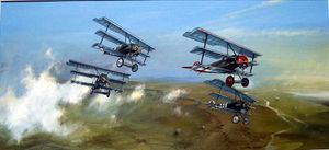 Richthofen's Fokker Dr1 Triplane art by Michael Roffe
