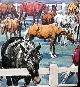 Black Beauty - In The Paddock art by Carlos Roume