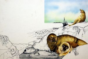 Susan Neale artist biography