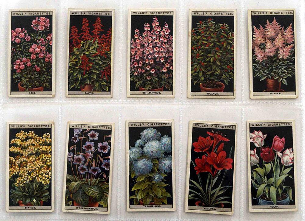 Flower Culture in Pots: Full Set of 50 Cigarette Cards (1925)