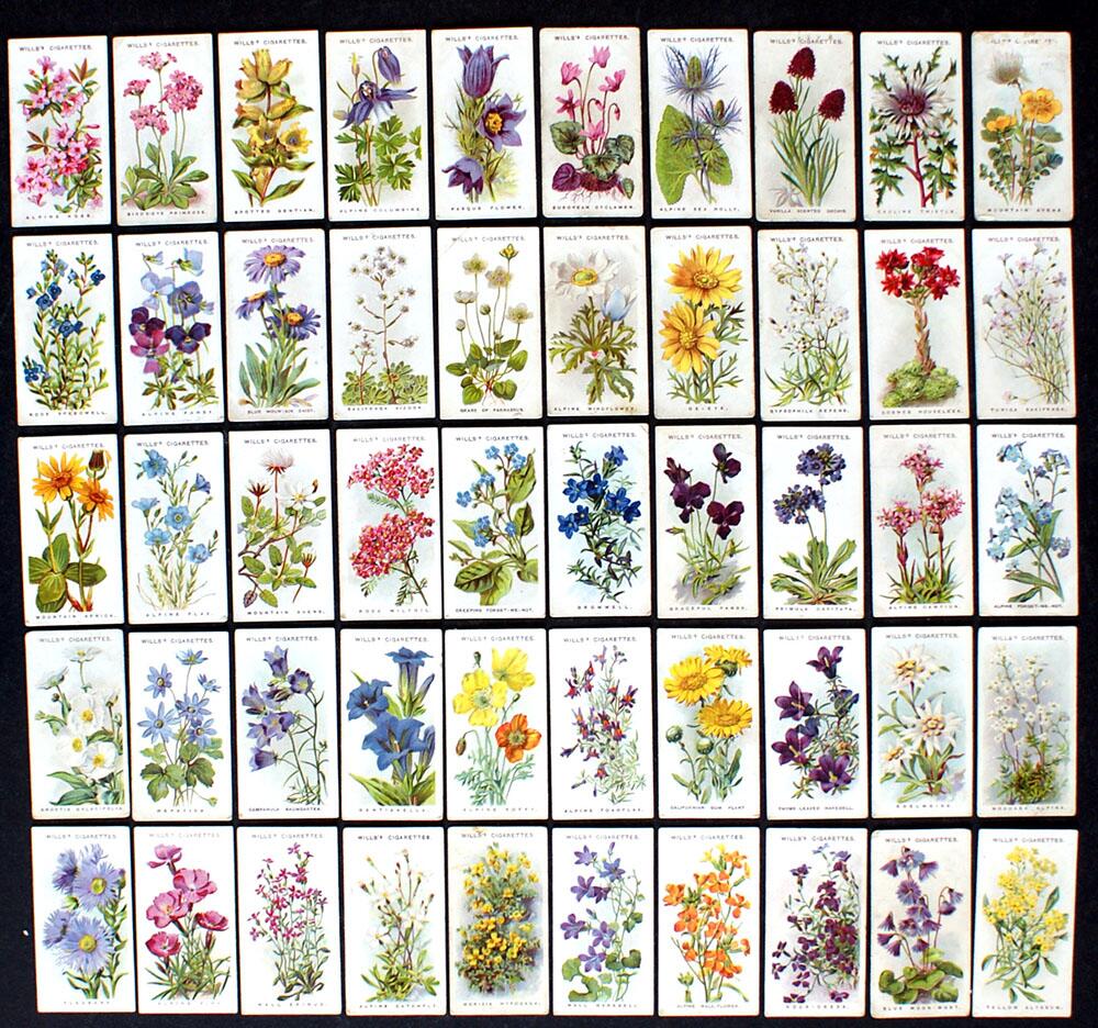 Cigarette Cards: Alpine Flowers (1913) (50 cards)