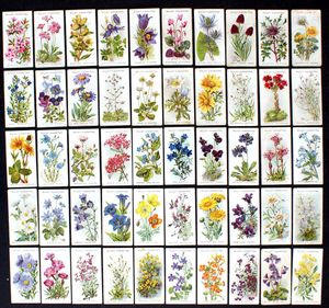Cigarette Cards: Alpine Flowers (1913) (50 cards)
