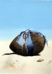 The Coconut Book book cover art art by 20th Century unidentified artist