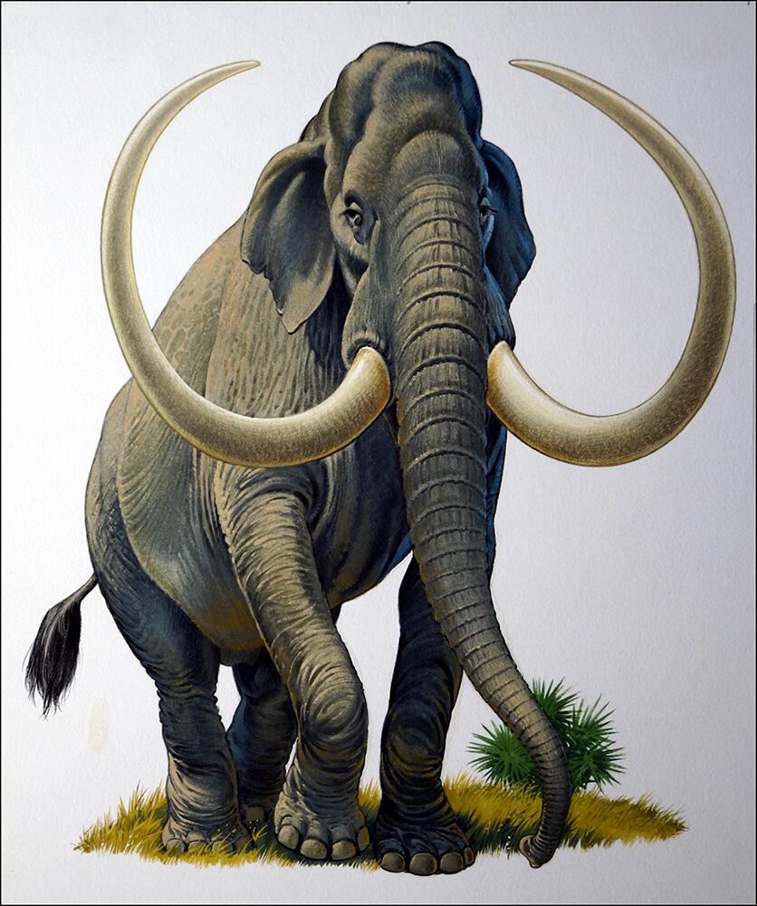 Imperial Mammoth art by Bernard Long