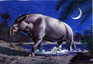 Moeritherium art by Bernard Long