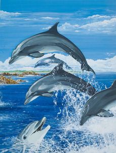 Bottle Nosed Dolphin art by Janet Blakeley