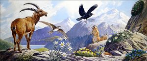 Wildlife of Central Europe art by G W Backhouse