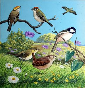 Bird Montage 1 art by Reginald B Davis