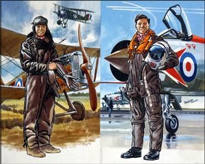 Into the Blue: 50 Years of the R.A.F. art by Wilf Hardy