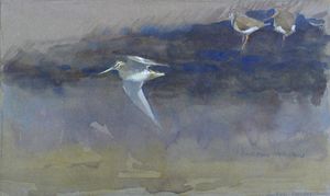 Snipe and Redshank art by Andrew Haslen