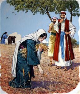 Ruth Gathers Corn in Boaz Field art by Clive Uptton