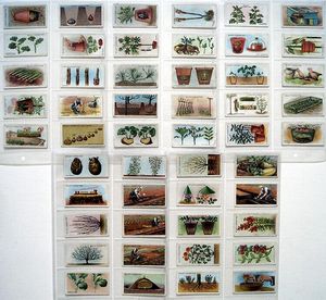 Complete Set of 50 'Gardening Hints' Wills Cigarette Cards (1923)