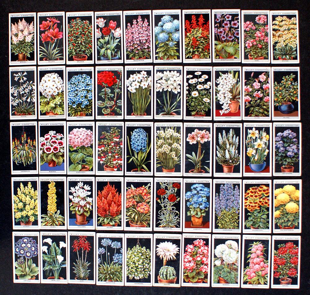 Cigarette Cards: Flower Culture In Pots (1925) (50 cards)