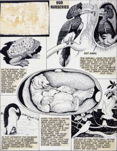 Odd Nurseries art by Helen Haywood