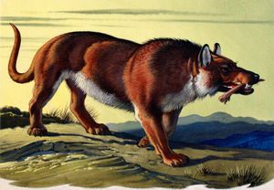 Andrewsarchus Mongoliensis art by Bernard Long