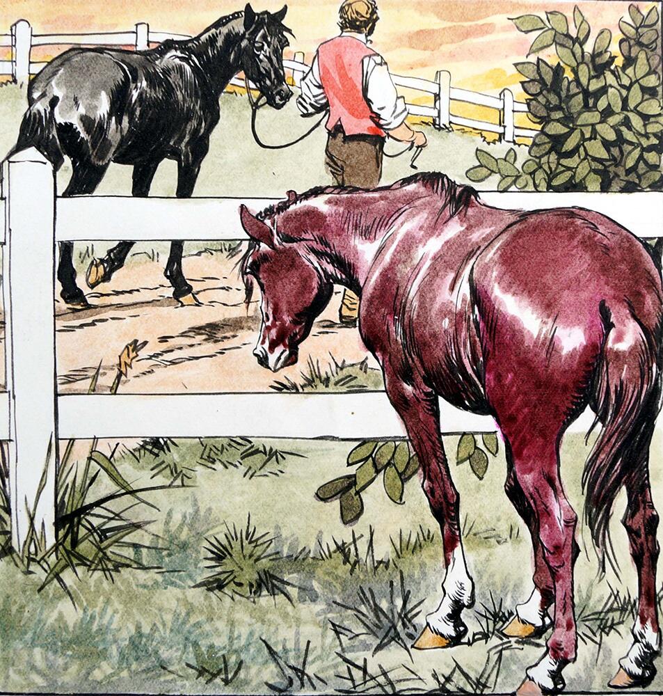 Black Beauty - Home On The Range art by Carlos Roume