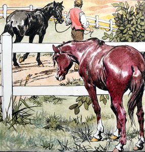 Black Beauty - Home On The Range art by Carlos Roume