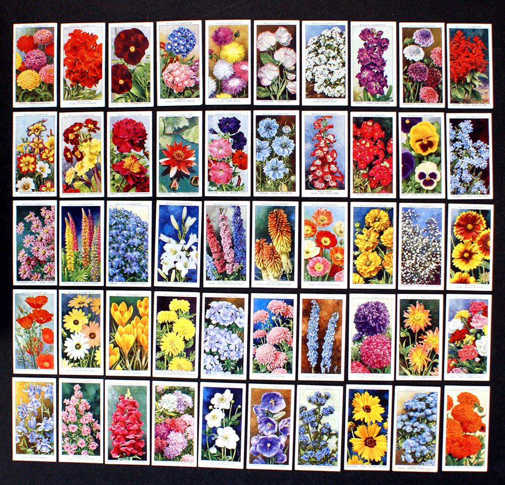 Cigarette Cards: Garden Flowers (1939) (50 cards)
