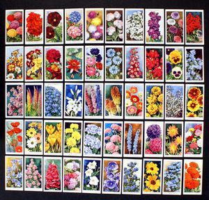 Cigarette Cards: Garden Flowers (1939) (50 cards)