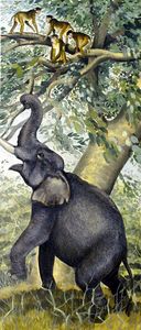 African Elephant art by G W Backhouse