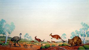 Animals of the Australian Outback art by Bernard Long
