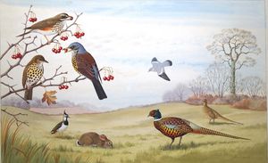 Wildlife in an English Meadow art by John Rignall