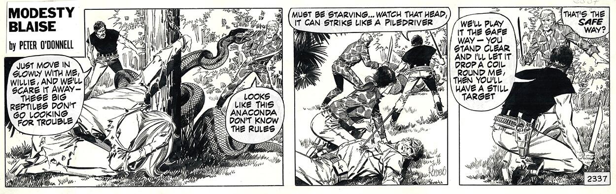 Modesty Blaise strip 2337 - Diana and the Anaconda art by Enric Badia Romero