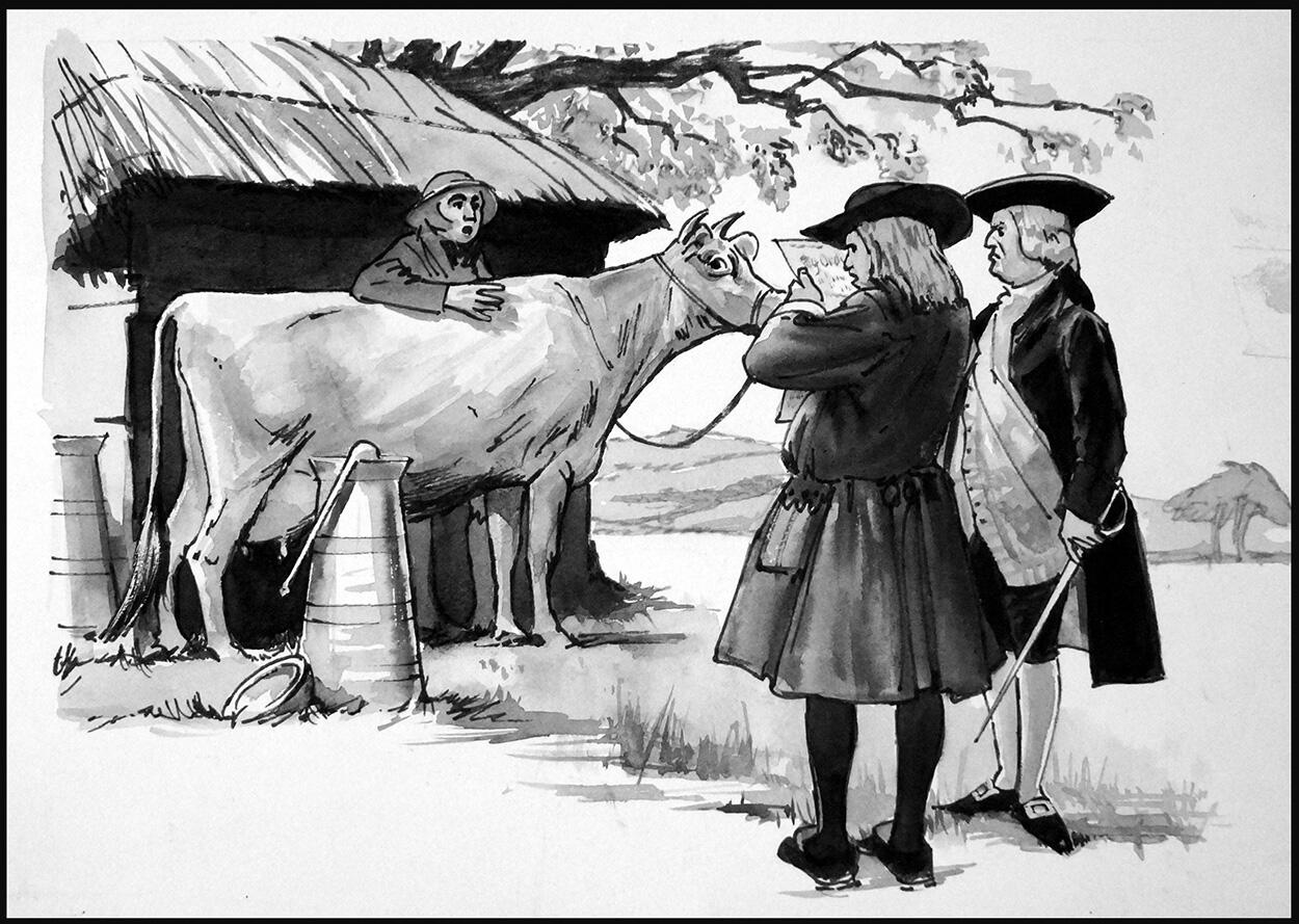 Cow On Trial art by Ralph Bruce