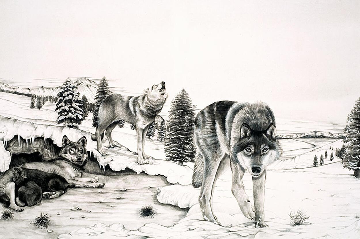 The World of Nature: The 'Gangster' on Four Legs art by Sue Cartwright