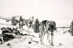 The World of Nature: The 'Gangster' on Four Legs art by Sue Cartwright