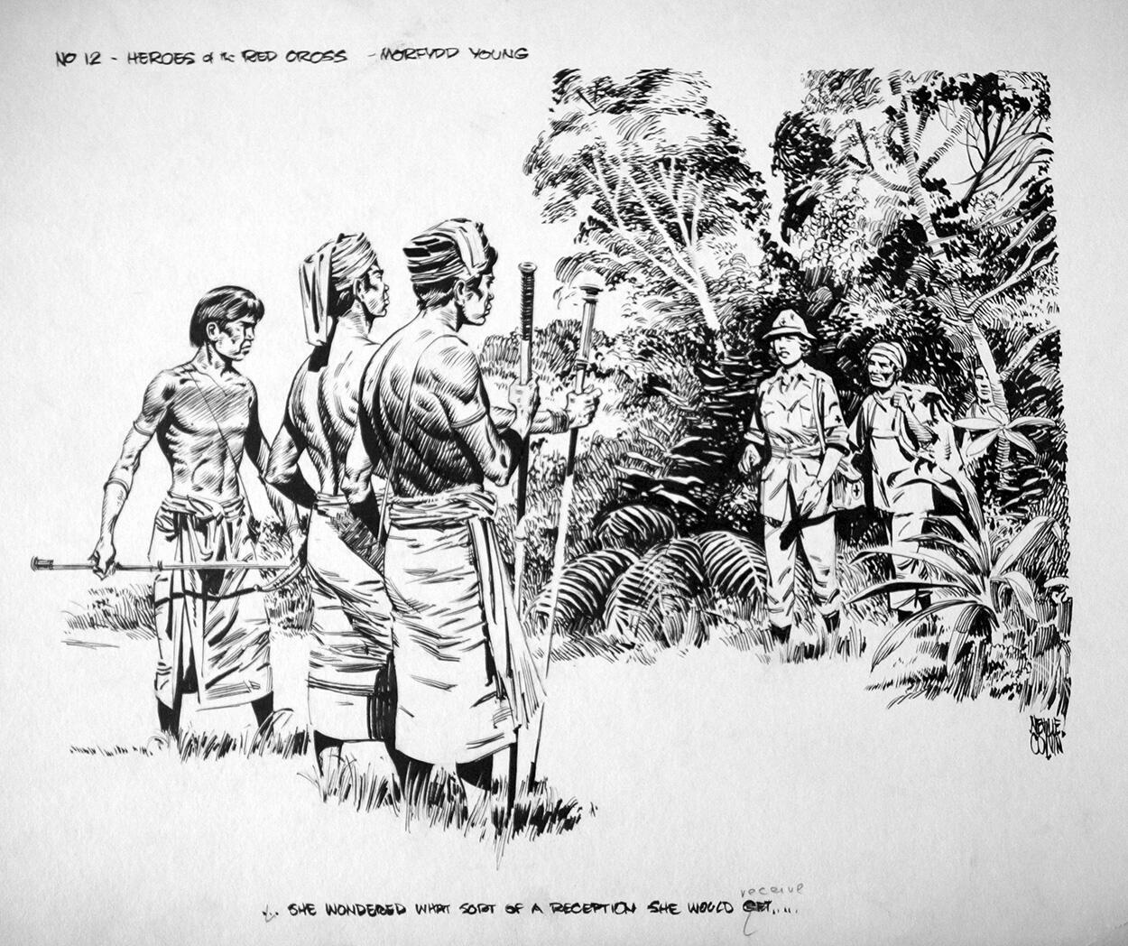 Heroes of the Red Cross Morfydd Young art by Neville Colvin