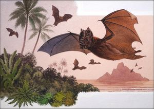 Flower Faced Bat art by Bernard Long