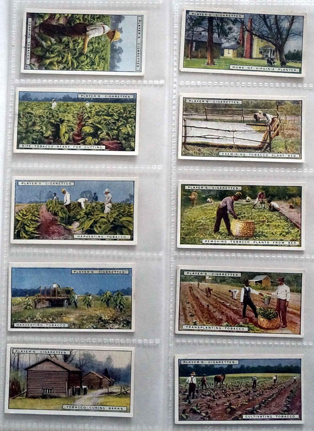 Full Set of 25 Cigarette Cards: From Plantation to Smoker (1926) by Various