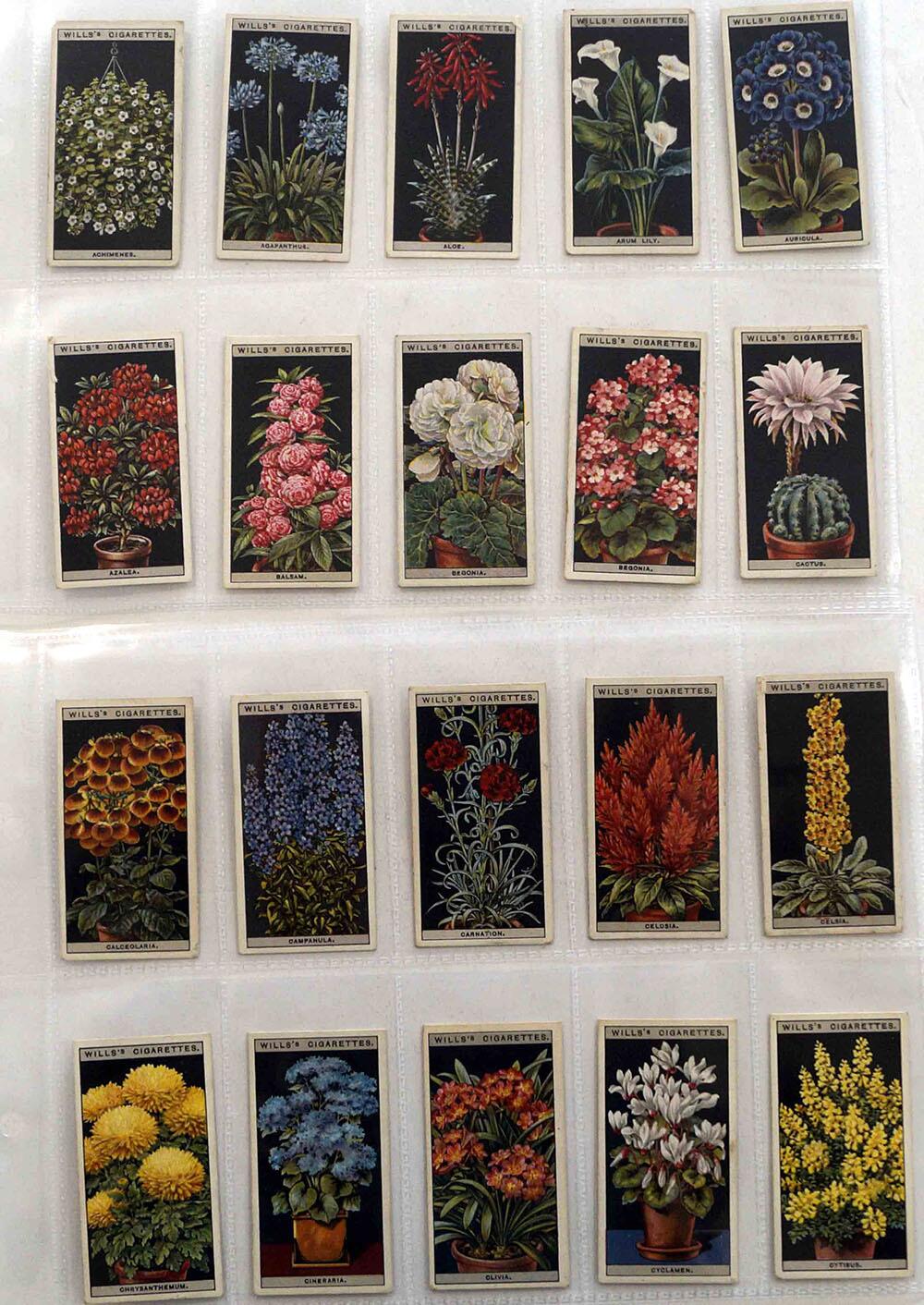 Flower Culture in Pots: Full Set of 50 Cigarette Cards (1925)