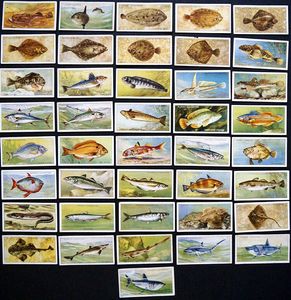 Set of 41 'Sea Fishes' John Player & Sons Cigarette Cards (1935)